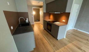 Apartment with free parking in Copenhagen Copenhagen